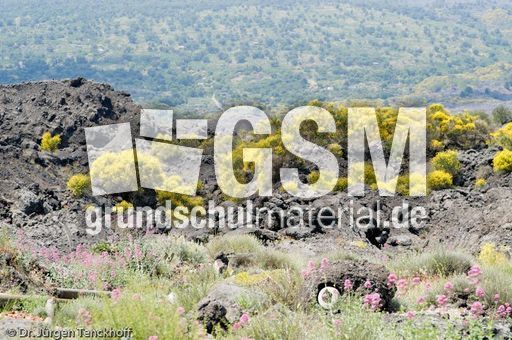 Sizilien (471 von 565).jpg